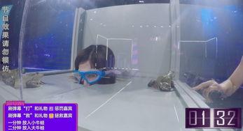 吃瓜污污,揭秘娱乐圈背后的秘密与真相