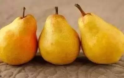 秋季吃蜜不吃瓜,甜蜜蜜瓜季过后，蜂蜜成秋季养生新宠