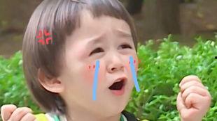 吃瓜说话的农民,吃瓜说话，揭秘乡村生活点滴