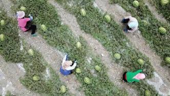 峡谷探秘吃瓜群众,吃瓜群众眼中的神秘之旅