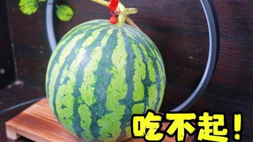 老板吃的瓜,揭秘职场背后的秘密与真相