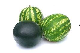 武穴吃瓜事件,一场网络舆论的风暴与反思