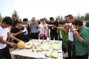 老汉瓜吃馕,一场别开生面的乡村美食之旅