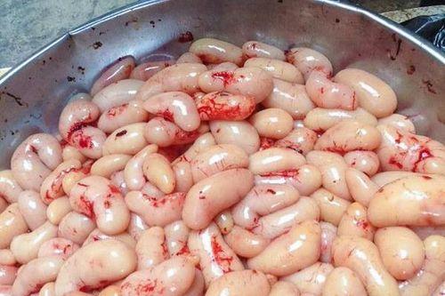 吃瓜成都噶腰子,吃瓜群众背后的真相